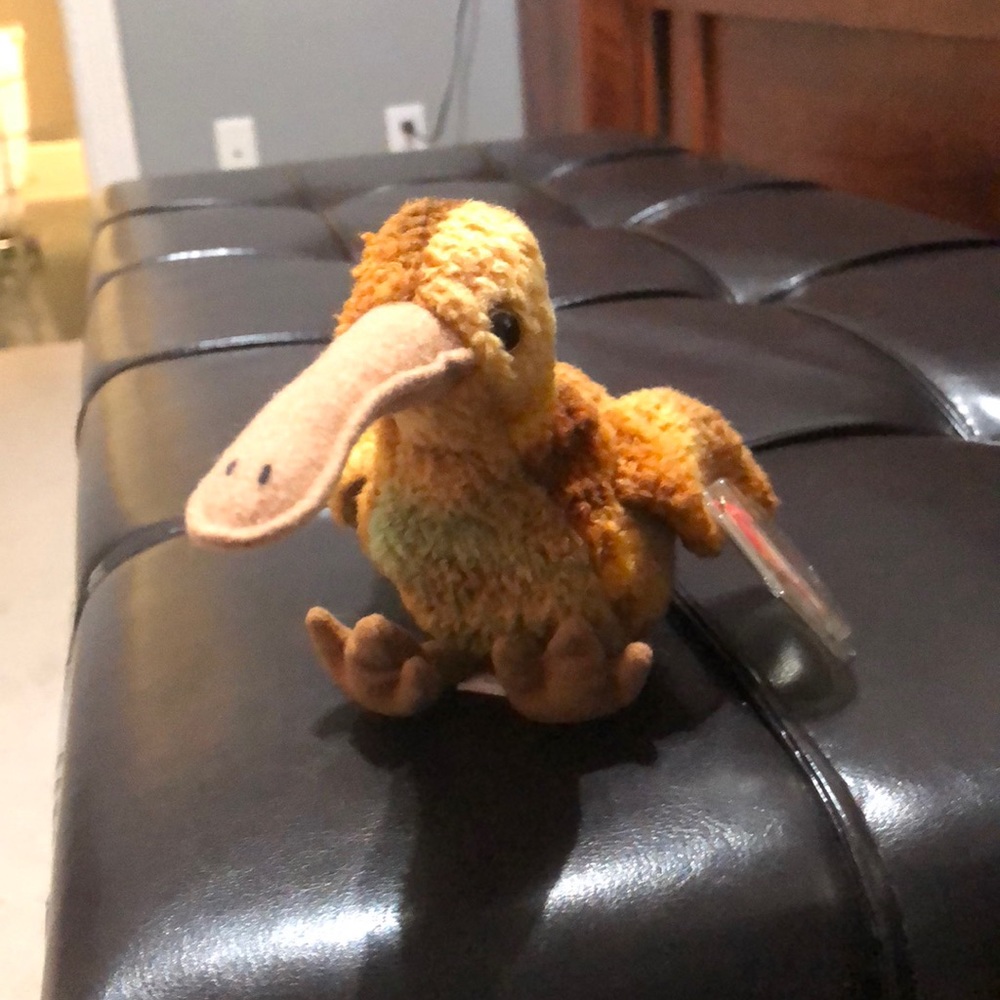 Beak the bird